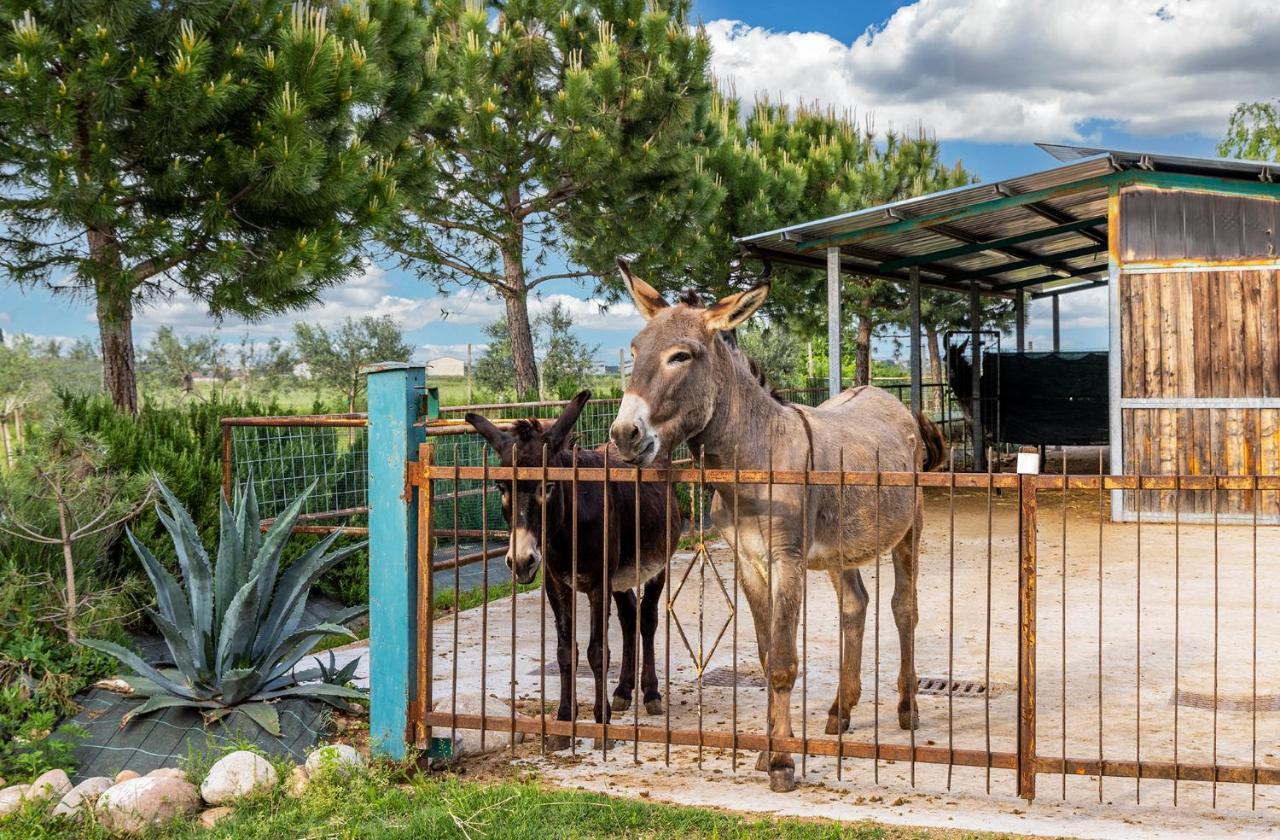 Relais Ca' Maddalena Vakantieboerderij